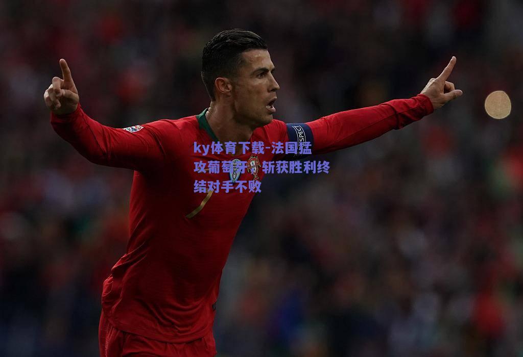 ky体育下载-法国猛攻葡萄牙，斩获胜利终结对手不败  第1张